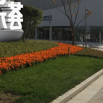 城市環境作品案例展示